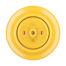 Load image into Gallery viewer, Katy Paty Roo Switch - 1 Single Gang Rotary