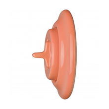 Load image into Gallery viewer, Katy Paty Roo Switch - 1 Single Gang Toggle