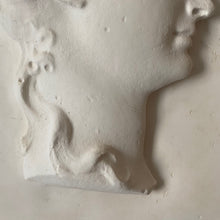 Load image into Gallery viewer, Berdoulat-Griffin Collection | Maiden Roundel