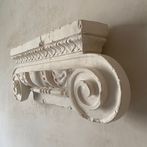 Berdoulat-Griffin Collection | Ionic Capital ii
