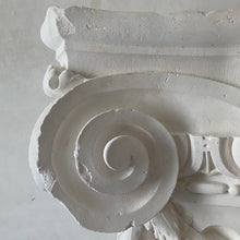 Load image into Gallery viewer, Berdoulat-Griffin Collection | Ionic Capital i