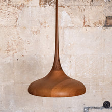 Load image into Gallery viewer, Non-Standard | Botanic 2 Pendant