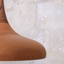 Load image into Gallery viewer, Non-Standard | Botanic 2 Pendant