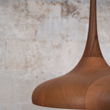 Load image into Gallery viewer, Non-Standard | Botanic 2 Pendant