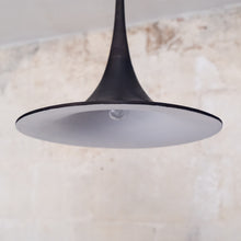 Load image into Gallery viewer, Non-Standard | Botanic 3 Pendant