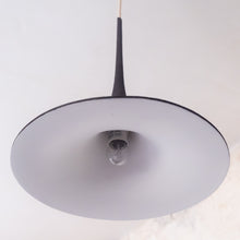 Load image into Gallery viewer, Non-Standard | Botanic 3 Pendant