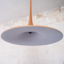 Load image into Gallery viewer, Non-Standard | Botanic 3 Pendant