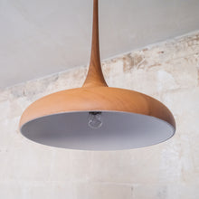 Load image into Gallery viewer, Non-Standard | Botanic 2 Pendant