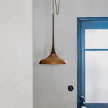 Load image into Gallery viewer, Non-Standard | Botanic 2 Pendant