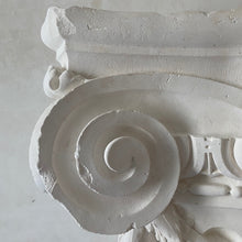 Load image into Gallery viewer, Berdoulat-Griffin Collection | Ionic Capital i
